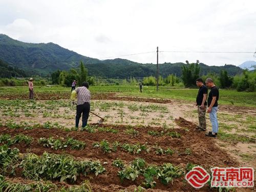 建瓯市徐墩镇 千亩农作物被水淹 生产自救有序展开