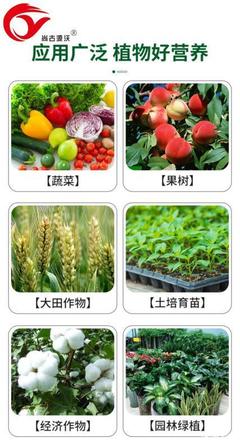 [菌肥微生物菌肥 50有机质 5亿菌/克 40kg每袋价格1800吨