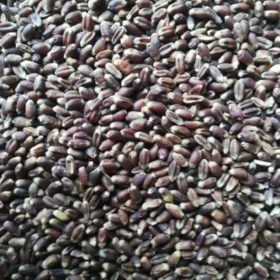 价格 厂家 中国供应商