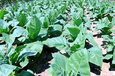 三下乡day4:行走的力量,新房子镇