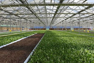 特色农业 新引擎 百花齐放展名片