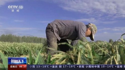 各地特色经济作物成为助农增收富民产业