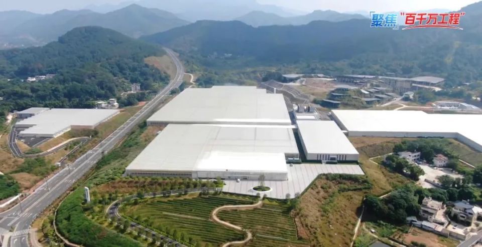 水稻一年可四收!梅县区这家智慧“植物工厂”有“黑科技”