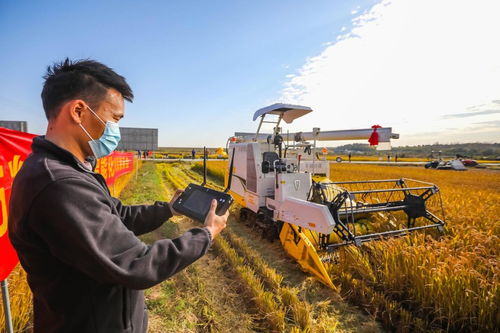 在高质量发展上继续走在前列 江苏 为构建粮食安全新发展格局贡献 一域之粟