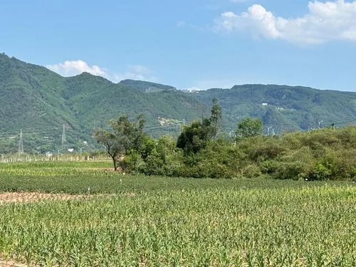 建筑垃圾如何变废为宝 来看全链条管理模式