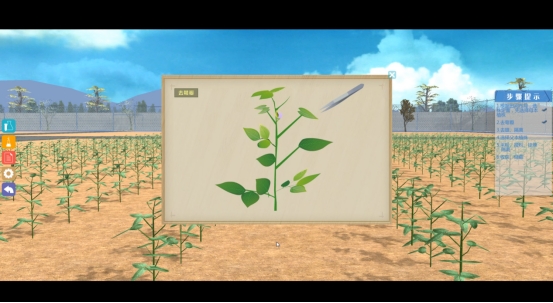 北京欧倍尔植物类虚拟仿真软件_实验_经济作物_过程