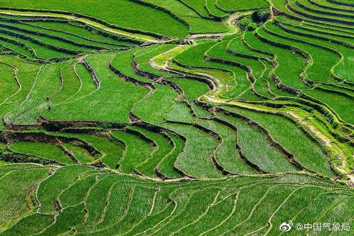 田园风光无限好,乡村振兴正当时