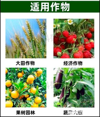 硼肥授粉受精提高座果率保花保果预防皴皮缩皮小果软果畸形果缩果