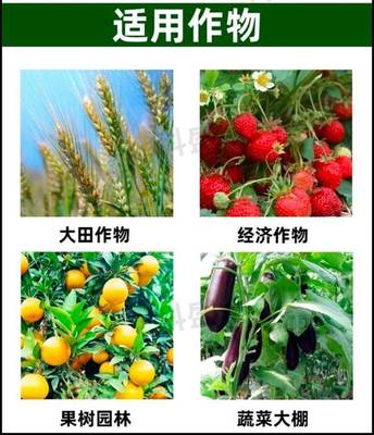 螯合肽流体锌肥防治叶片失绿节间缩短簇长小叶植株矮小生长点皱缩