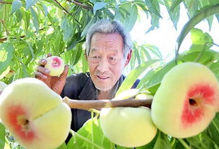 光荣上榜 国家扶持 石河子住这里的人有福了