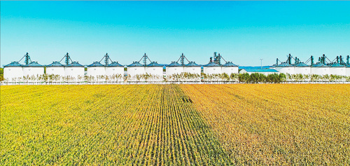 黑土"大粮仓"丰收画卷美