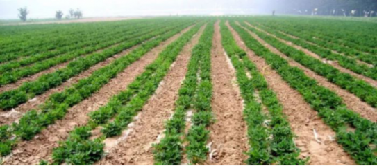 史丹利不合格?用实力讲话,质量信得过