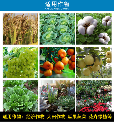 吡唑醚菌酯25%吡唑醚菌脂悬浮剂霜霉白粉病叶斑病果树蔬菜杀菌剂