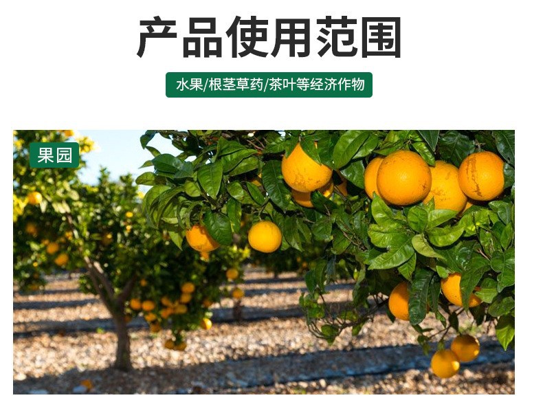 厂家批发经济作物大田花卉通用颗粒植物发酵微生物菌剂生物肥菌肥