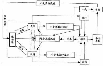 长期以来.上海市郊种植业以粮食.棉花.油菜为主.其中粮食作物占很大比重.2001年上海市郊种植业结构调整后.全年粮食作物和经济作物播种面积之比达到1︰1.产值之比更达到1︰3.农民增收4. 2亿元.据此回答12-15题.12.上海市郊种植业结构调整的主要影响因素是 ( )A.工业发展水平 B.科学技术水平C.劳动力的文化教育水平 D.商品经济发展水平13.现在上海市题目和参考答案--精英家教网--