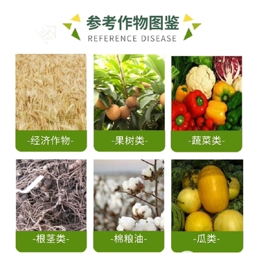 40%腈菌唑葡萄白粉病炭疽病桃树褐斑病梨树黑星病农药杀菌剂