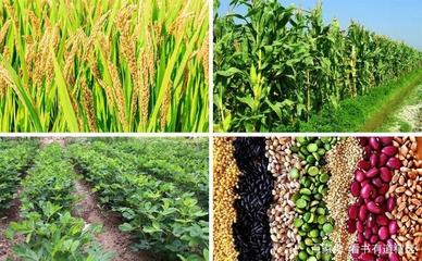 你好,我来自贵港樟木镇!