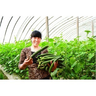 经济作物专用肥-企汇网