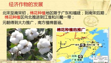 【精品课件】部编版第11课辽宋夏金元的经济与社会