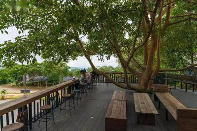 泰国咖啡寻香之旅,在山里的咖啡园喝咖啡更香吖