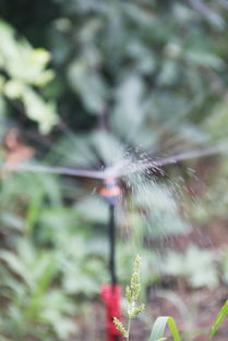 水肥一体化是未来农业发展方向 经济作物水肥一体化需求更为明显