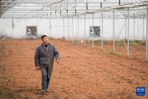 镜头里的春日经济 春耕里的 科技范儿