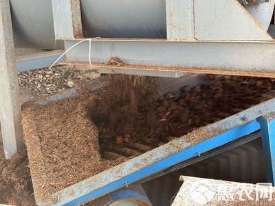 海南纯椰糠/椰子粒营养基质