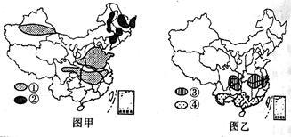 图甲、图乙为我国主要经济作物(大豆、油菜、甘蔗、棉花)分布示意图,下列经济作物的排序与图中主要分布区一致的是A.①油菜②大豆③棉花④甘蔗B.①大豆②油菜③甘蔗④