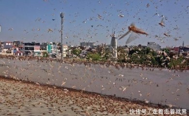 和谈进入尾声,印度上将却突然放出危险信号:不排除军事手段