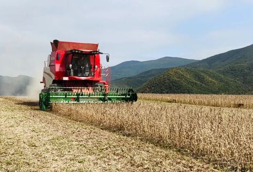 延边 颗粒归仓绘 丰 景