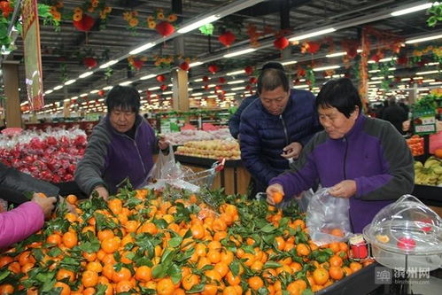 阳信打造 农事共享超市