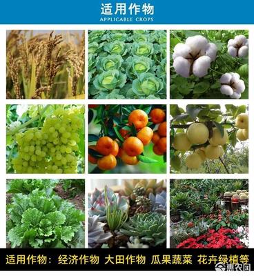 48%联肼螺螨酯联苯肼酯柑橘草莓红蜘蛛蔬菜农药高效杀虫杀螨剂