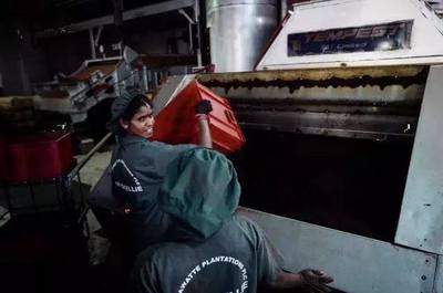 想去国外旅游,斯里兰卡到底应该怎么玩儿