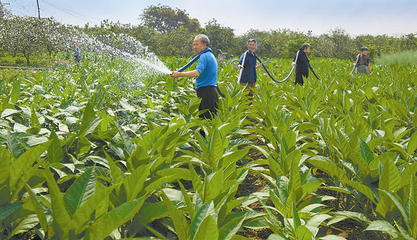 先生活 后生产 合力抗旱灾