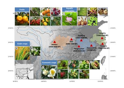 流域生态学研究所
