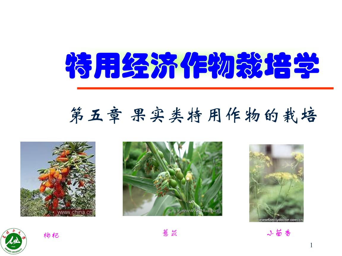 特用经济作物栽培学5.ppt
