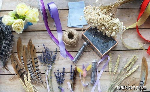 小麦变经济作物