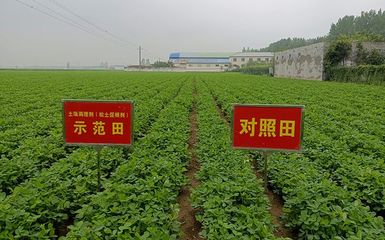 土壤调理与修护对经济作物种植的影响