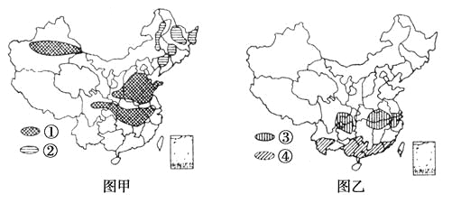 下图甲、图乙为我国主要经济作物