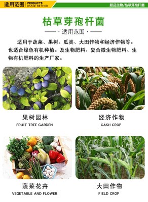 枯草芽孢杆菌以菌治菌防治真菌细菌解磷解钾改良土壤增产提质