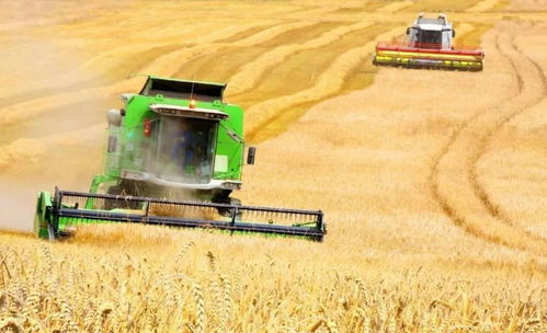 为得到我国稀有资源 将38万件武器送给我国,全程拒绝索要一分钱