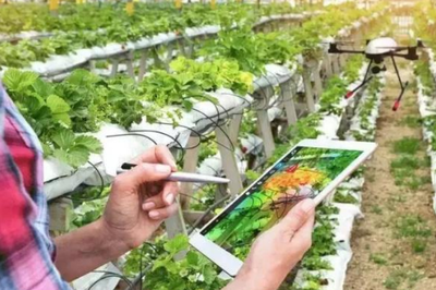 为什么以色列农民将农产品卖向全世界,中国却