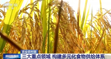 构建多元化食物供给体系"路线图"发布 3方面重点14项任务让群众吃得饱、吃得好