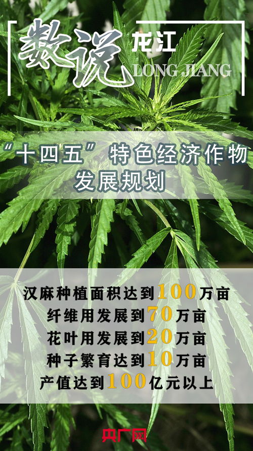 数说龙江丨 十四五 特色经济作物发展规划 央广网