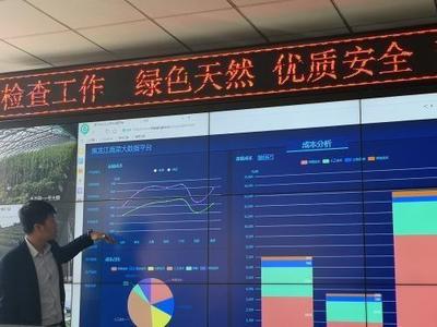 为绿色蔬菜点赞 “新媒体哈尔滨行”走进永和菜业