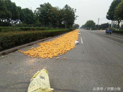 秋天到了临沂经济技术开发区处处洋溢着收获的喜悦