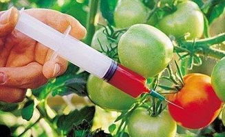 西红柿打过 催熟剂 这 3处 会露出马脚,吃之前多留个心眼