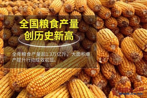 中国饭碗 端得牢 装得满 吃得香