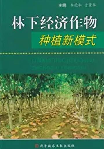 林下经济作物种植新模式