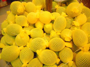 海南农垦万嘉果热带植物园